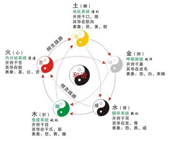 五行养生法之调理五脏平衡
